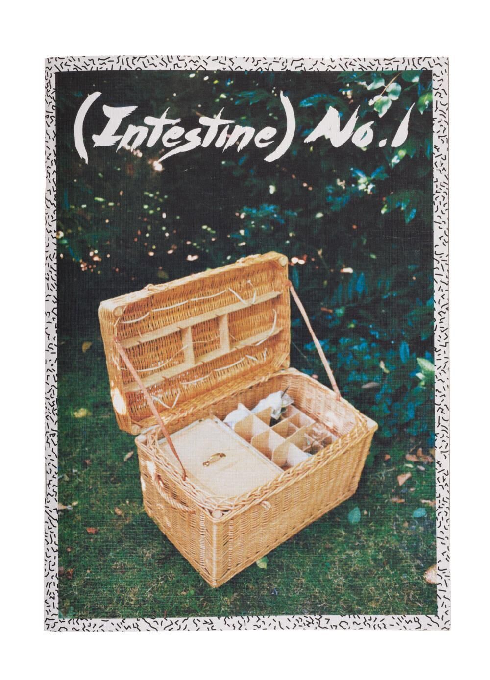 Cover image of the project ( Intestin )