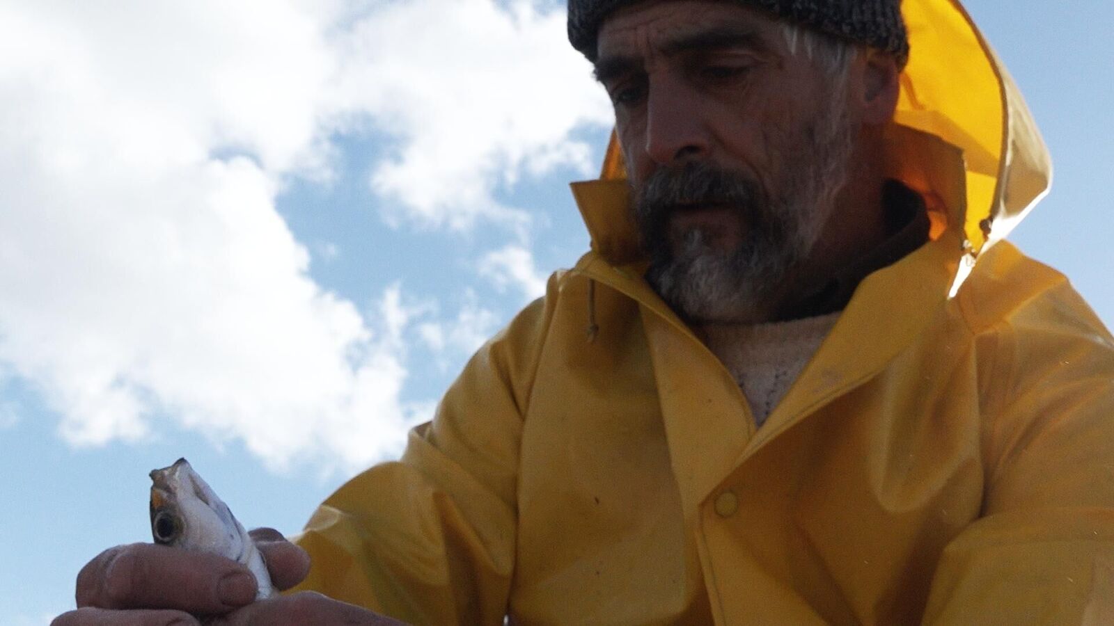 Gallery image of the project with my thoughts on the sea