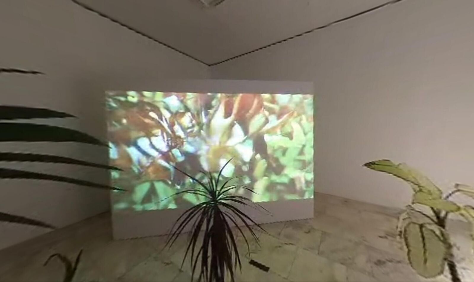 Gallery image of the project Svan/Nectar 