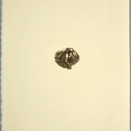 © Franziska Windisch