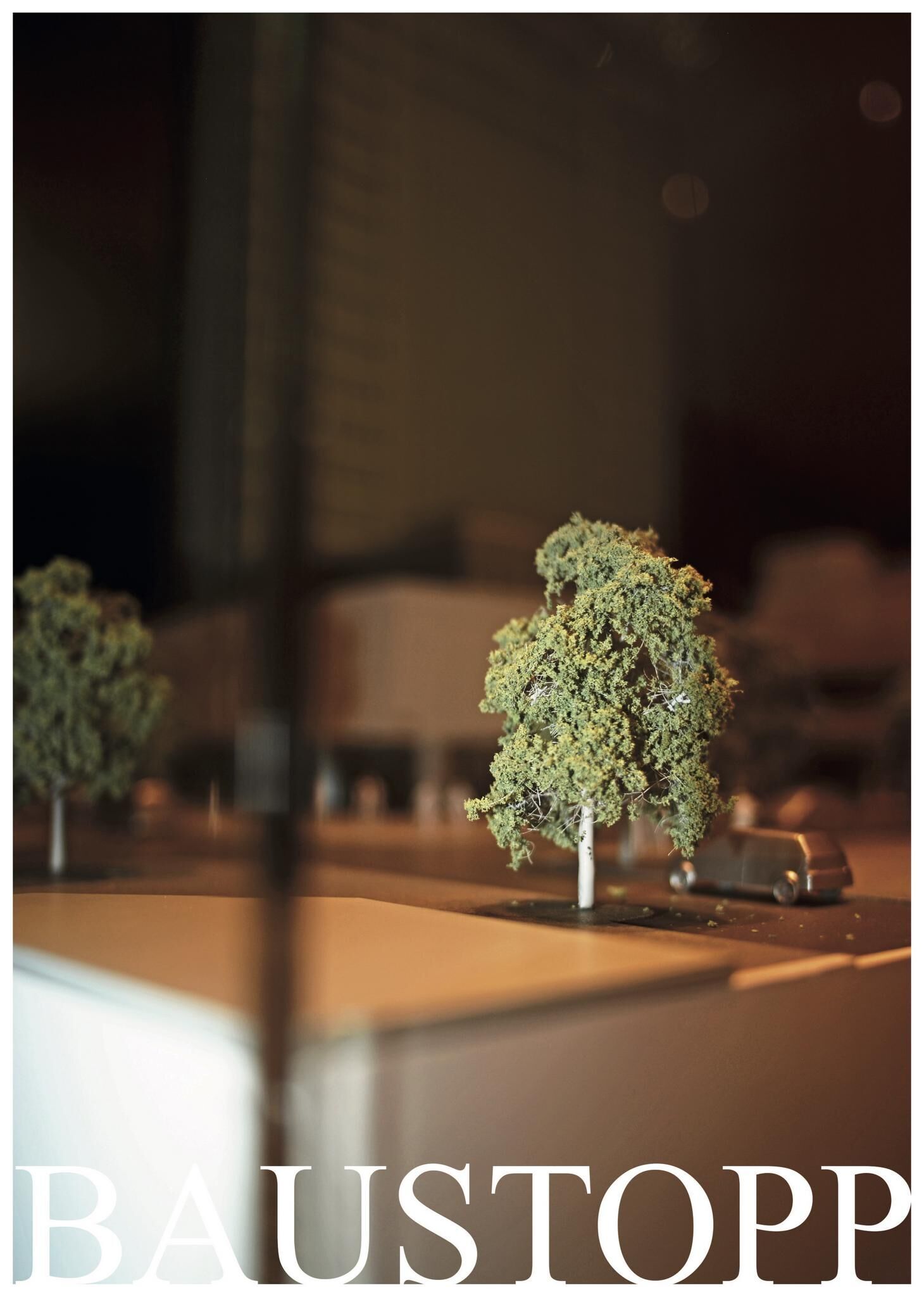 Gallery image of the project FALSE SPRING