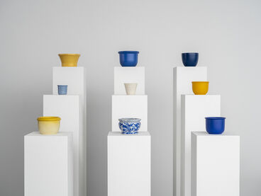 Katja Haubenreich, Diplom