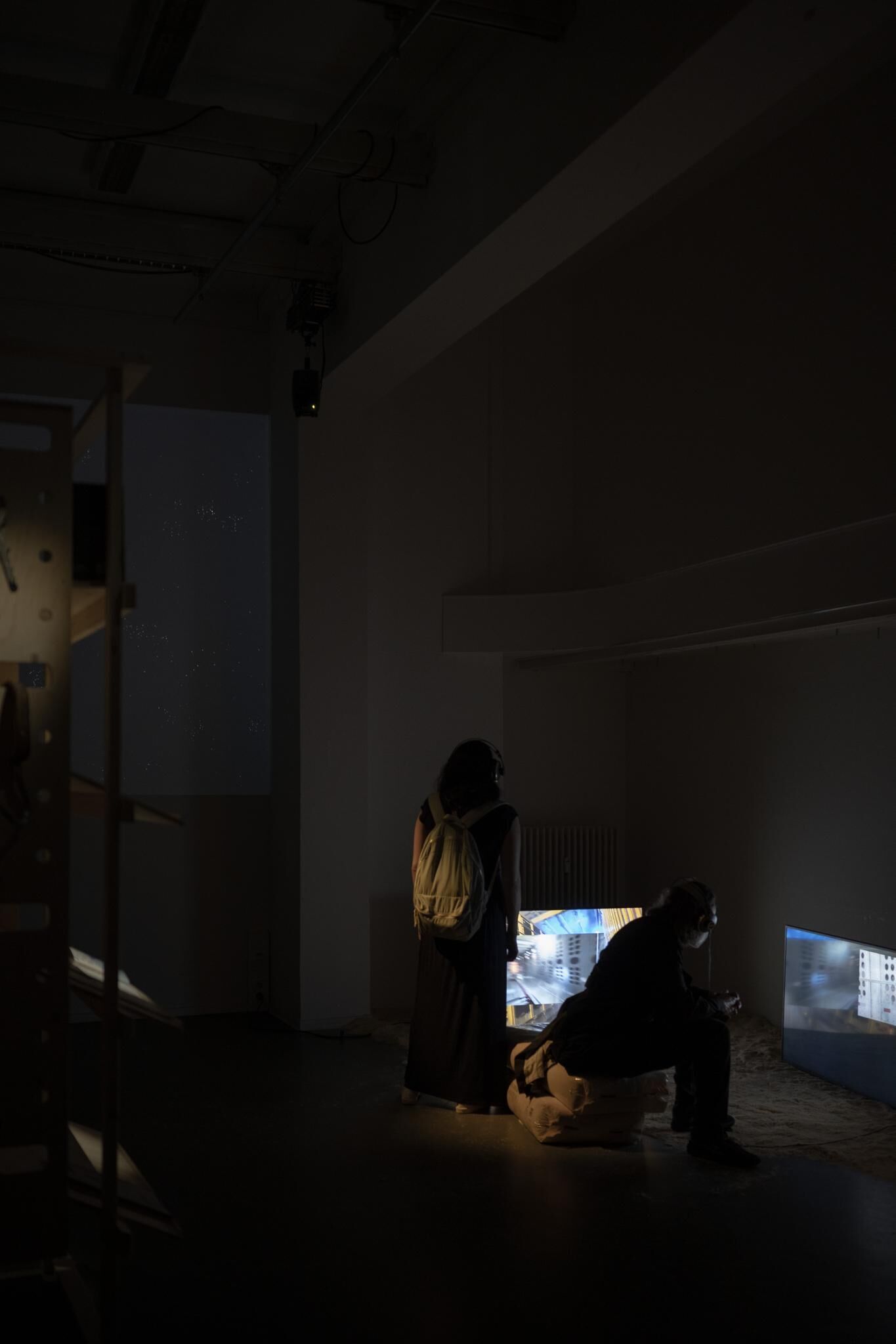 Gallery image of the project Live Stock / Live Animals