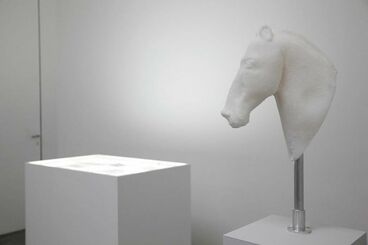 Gallery image of the project Horsey face