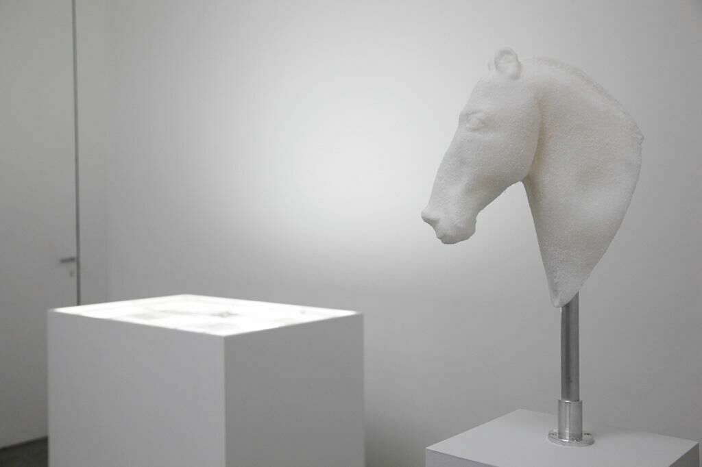Gallery image of the project Horsey face 