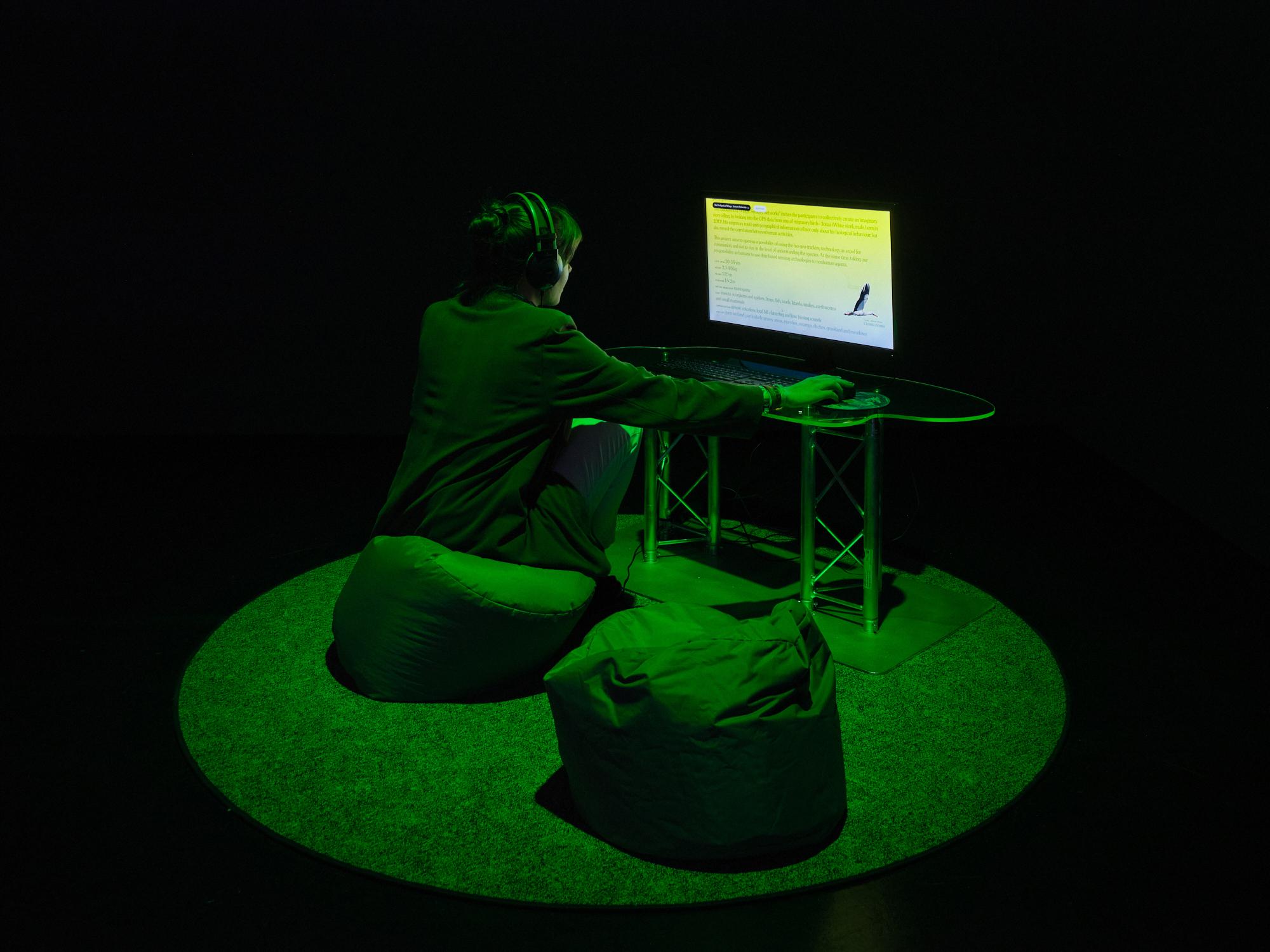 Gallery image of the project The Backpack of Wings: Sensory Networks