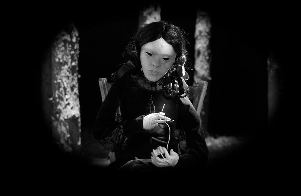 Cover image of the project whisper of the fur-cones