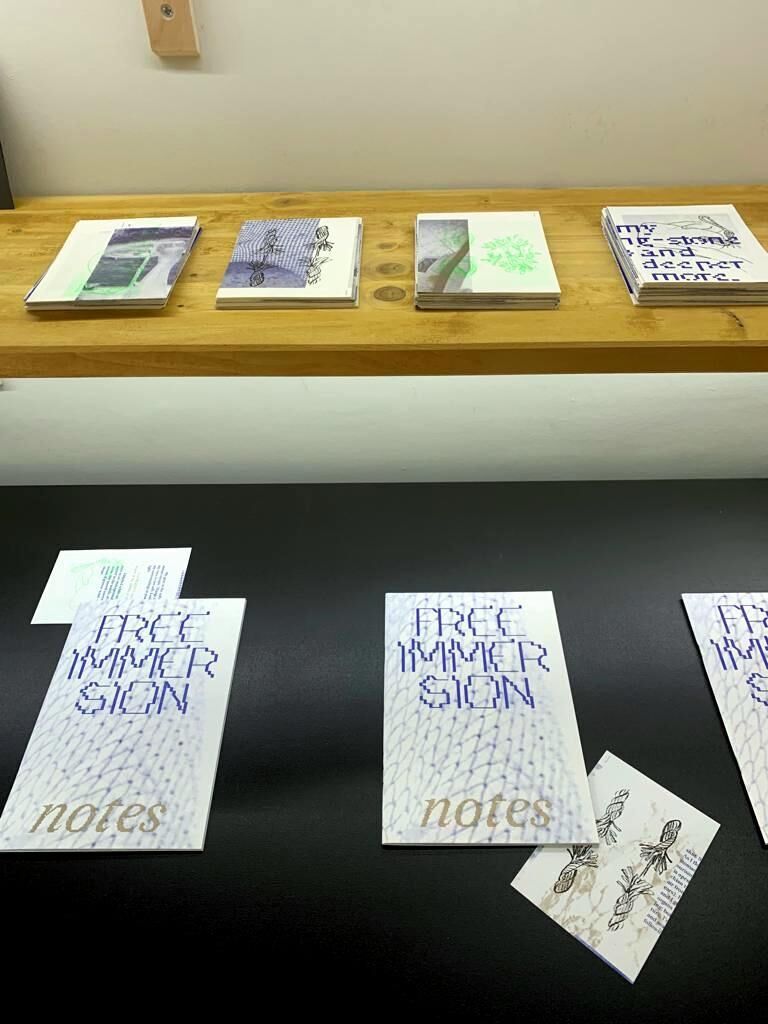Cover image of the project free immersion notes - publication 