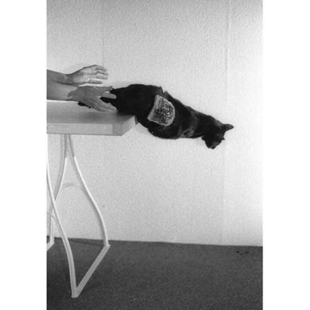 © Felix Contzen