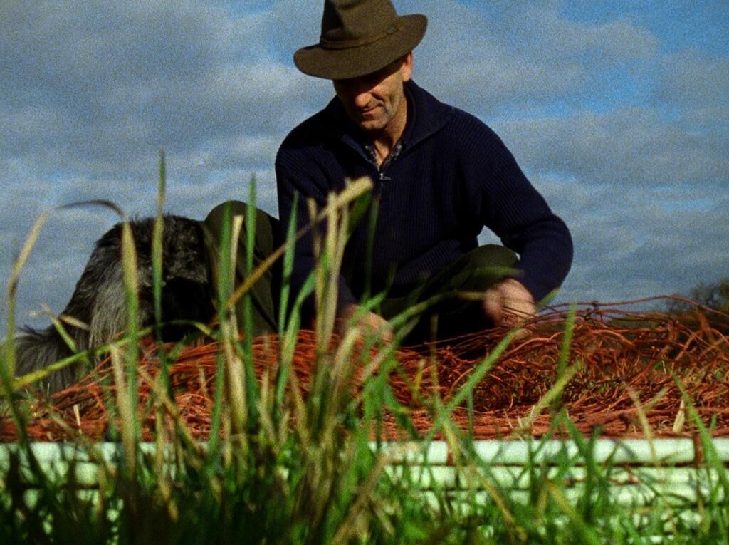 Gallery image of the project City Dwellers