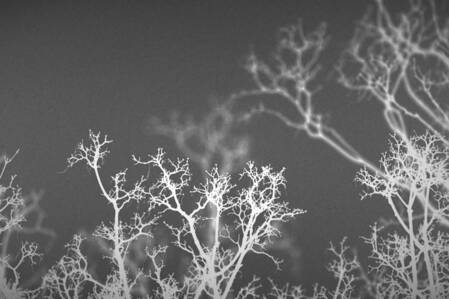 © KHM, Simon Rupieper