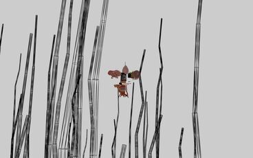 Gallery image of the project The Invisible Warbler