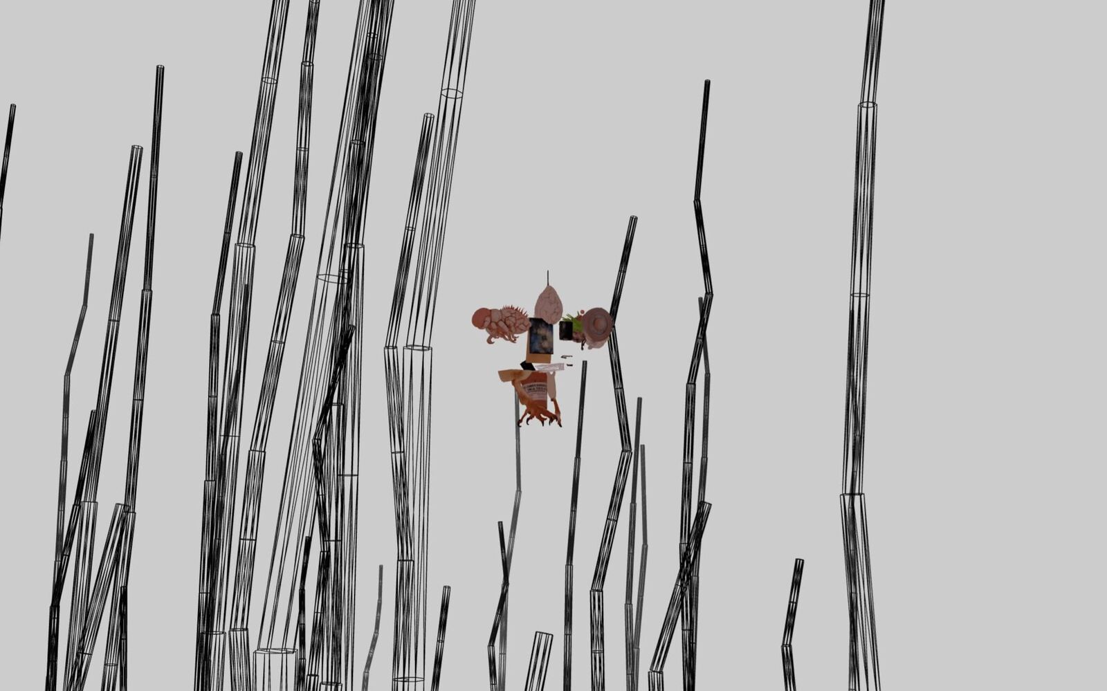 Gallery image of the project The Invisible Warbler