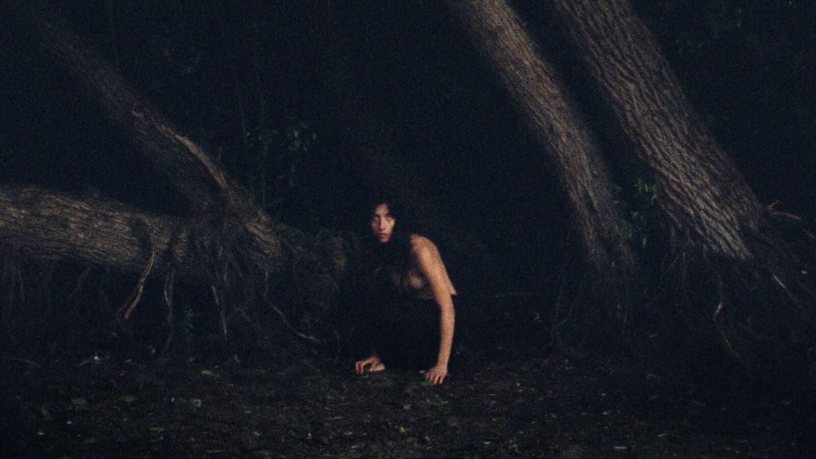 Gallery image of the project Crocodile Nest