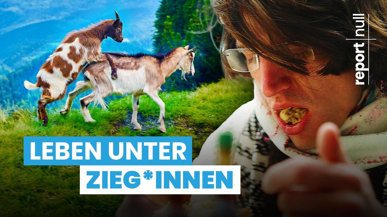 Cover image of the project report null - Leben unter Zieg*innen