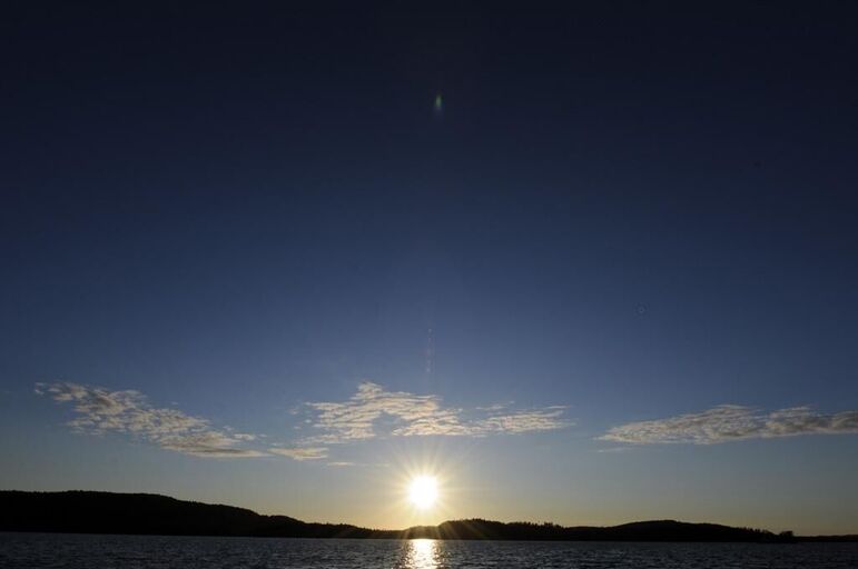 Cover image of the project Perfect Day