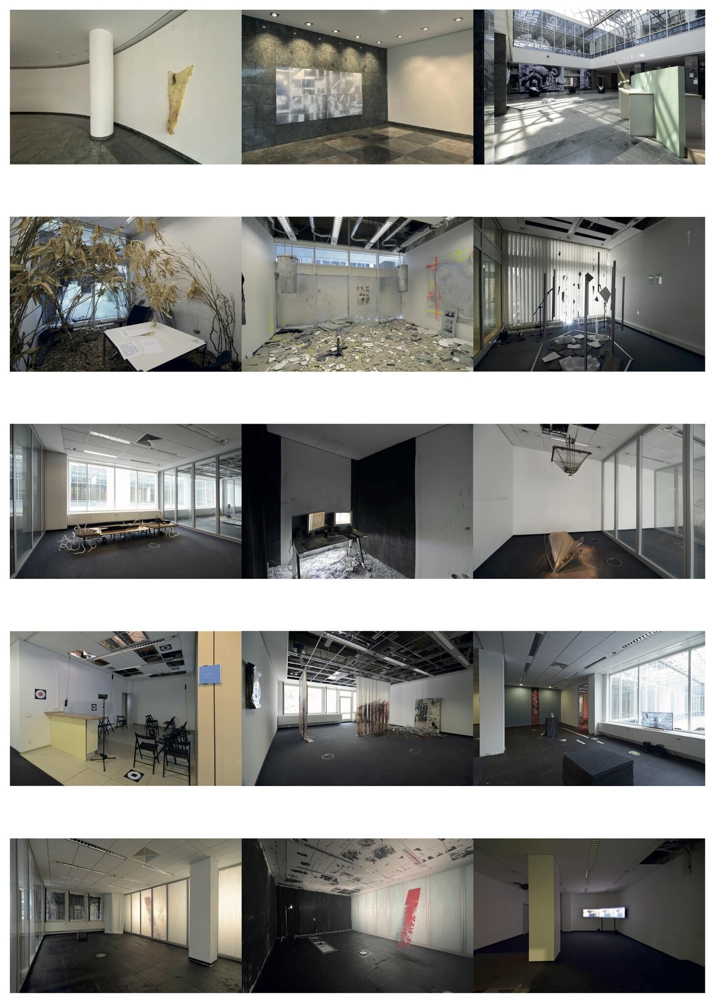 Gallery image of the project FALSE SPRING