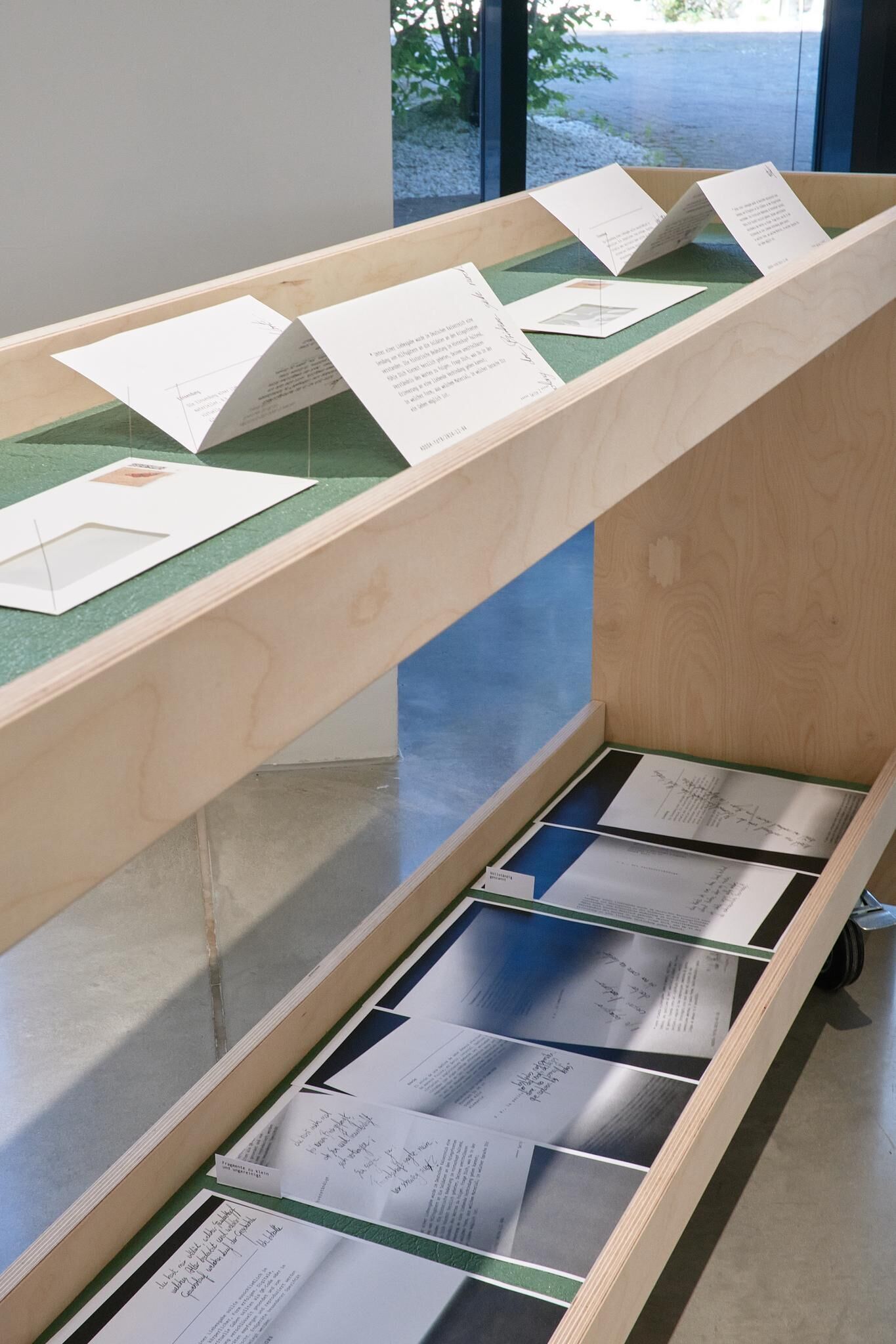 Gallery image of the project Archives & Butterflies