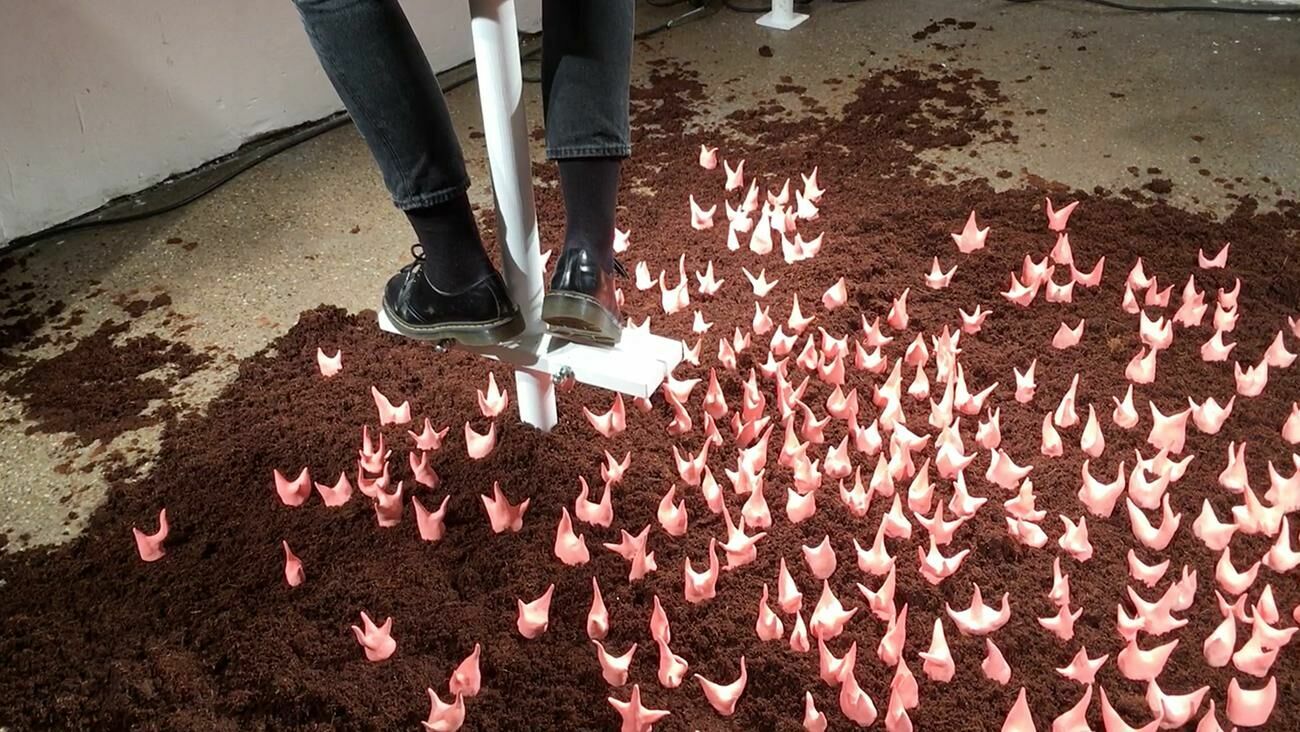 Gallery image of the project Walter Palmer Shot A Lion: The Sequel