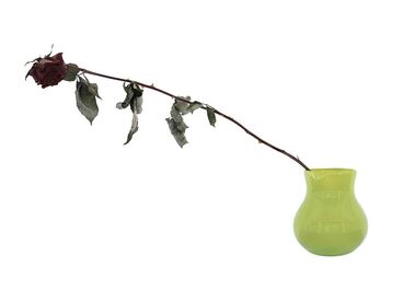 Nature Morte Cover image of the project Nature Morte
