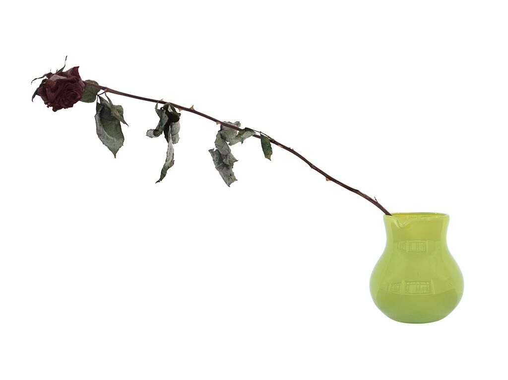 Cover image of the project Nature Morte
