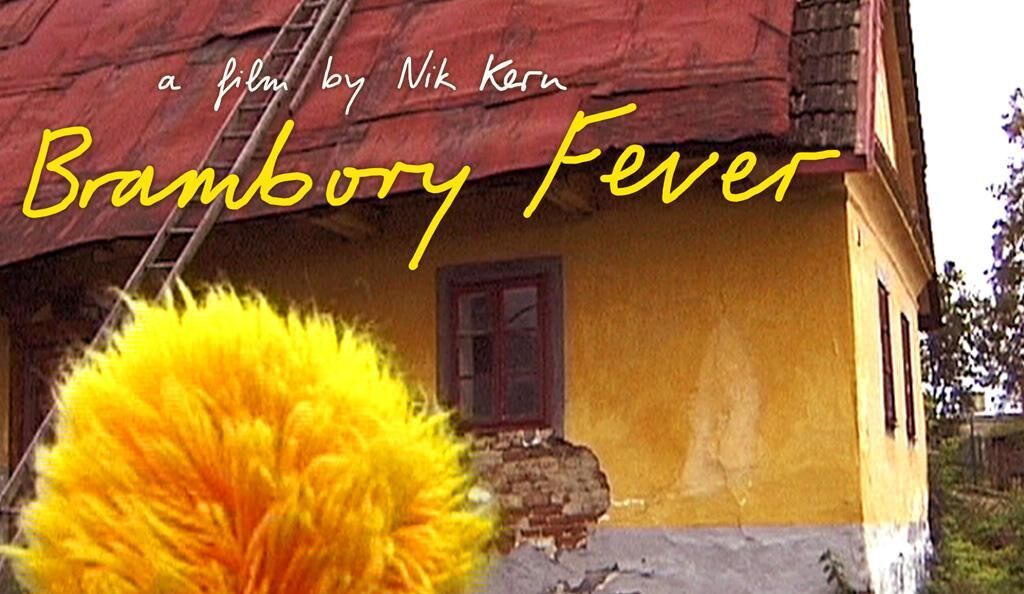 Cover image of the project Brambory Fever 