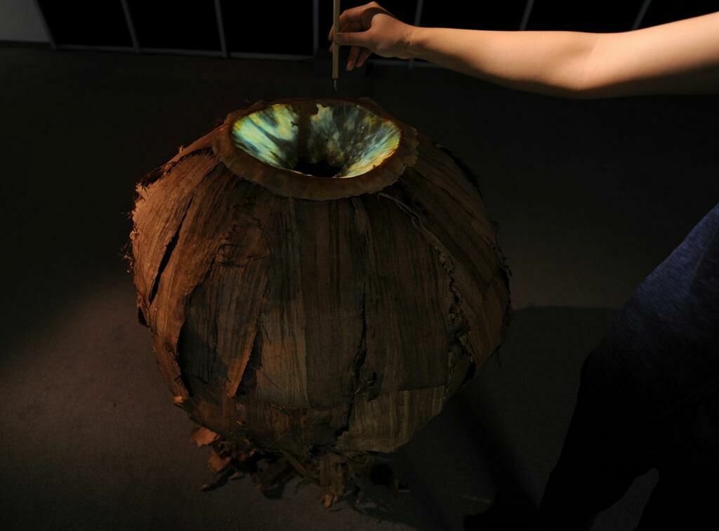 Gallery image of the project Augentinte