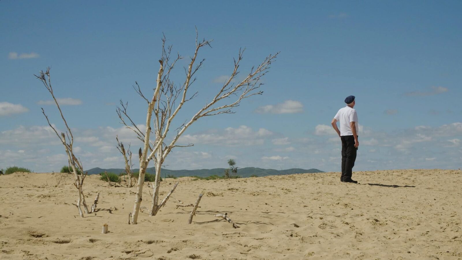 Gallery image of the project The Wind of Home