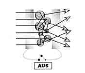 Gallery image of the project Dreierwette