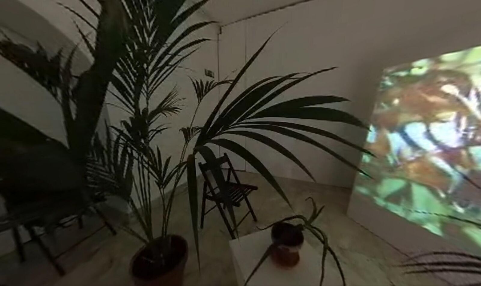 Gallery image of the project Svan/Nectar 