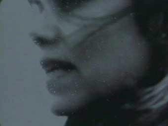 Cover image of the project Traces of a Presence to Come 