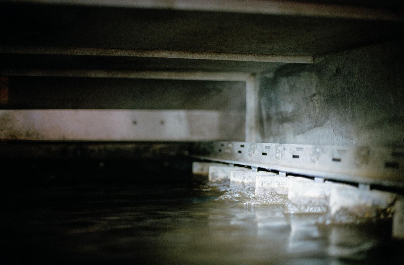 Gallery image of the project It Is the Water Flowing that Makes the Sound