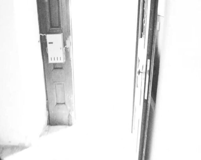 Cover image of the project Die Esel