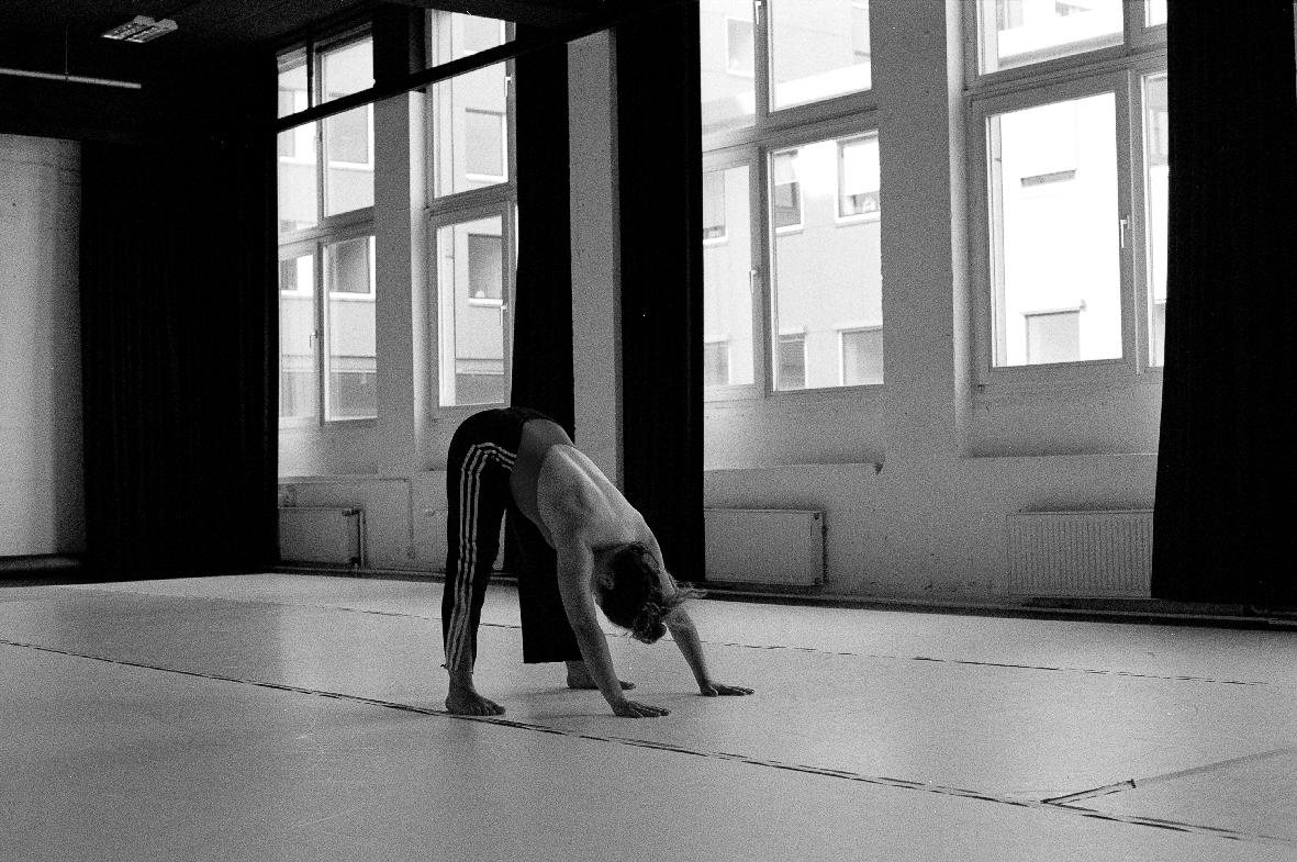 Gallery image of the project [insert title]