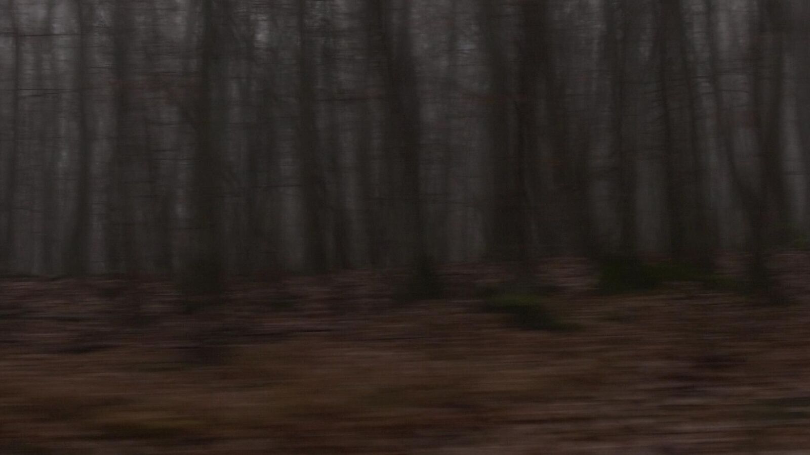 Gallery image of the project Mazurka