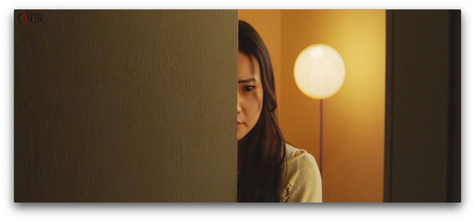 Gallery image of the project cOnceal