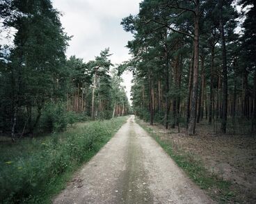 View the scenes: Killingfield Gallery image of the project View the scenes: Killingfield
