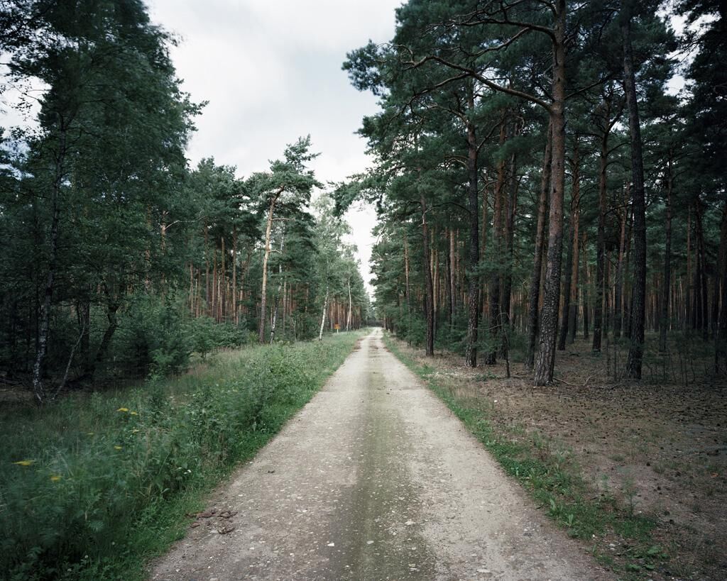 Gallery image of the project View the scenes: Killingfield