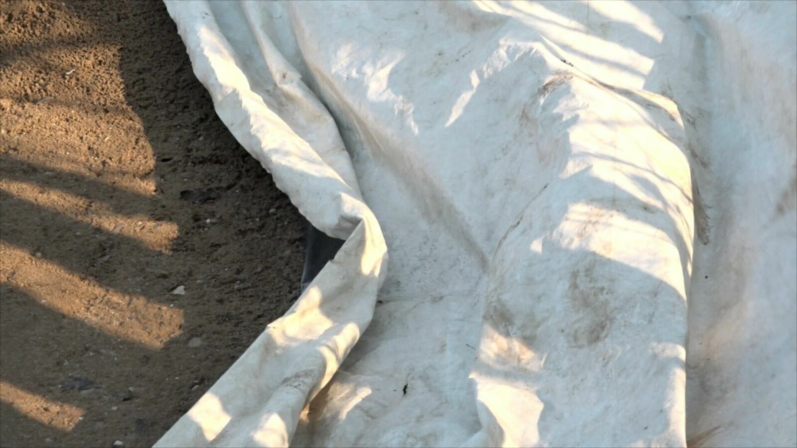 Gallery image of the project Dirt