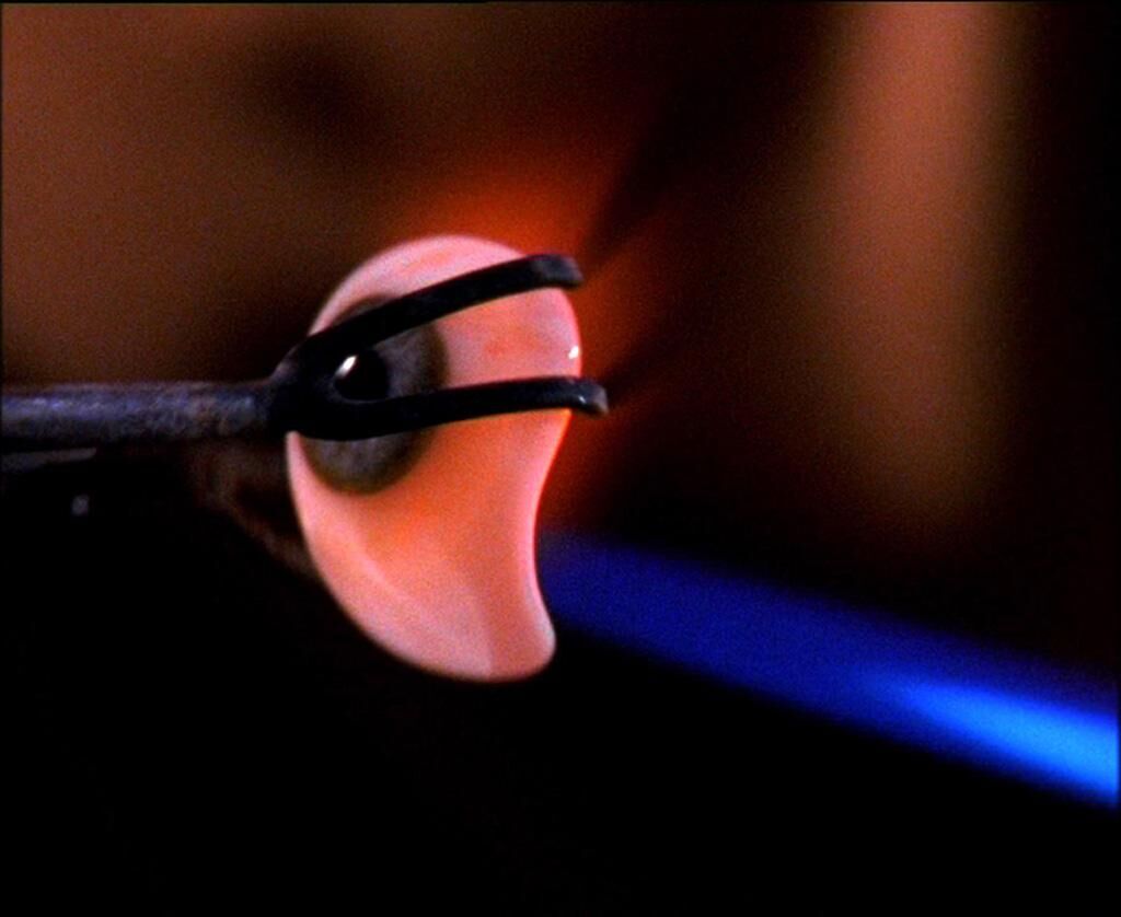 Gallery image of the project Anophtalmus