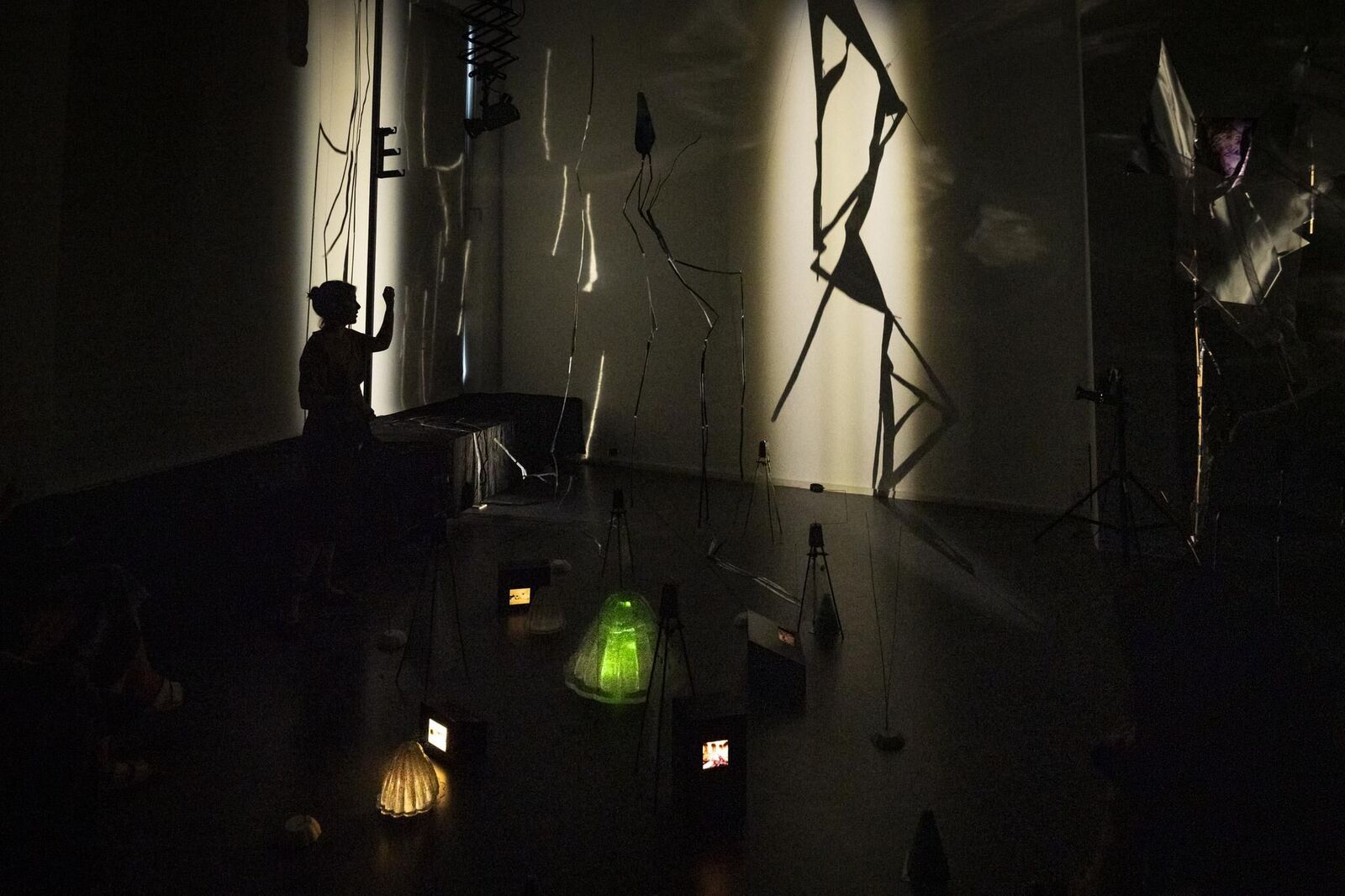 Gallery image of the project Pasajera Nocturna