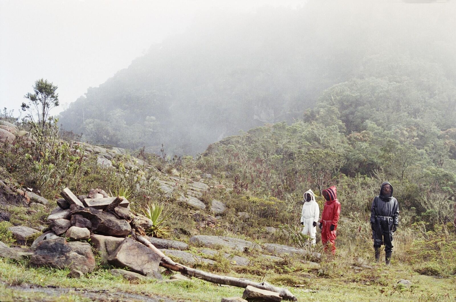 Cover image of the project Solaris 