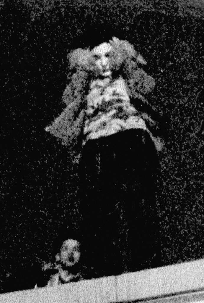 Cover image of the project Auf‘m Dach