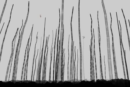 © Tianyi Hu