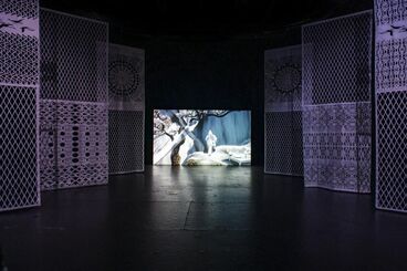 Gallery image of the project An Uncontacted Tribe