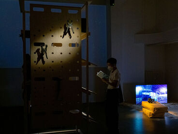 Pascal Marcel Dreier, Live Stock / Live Animals