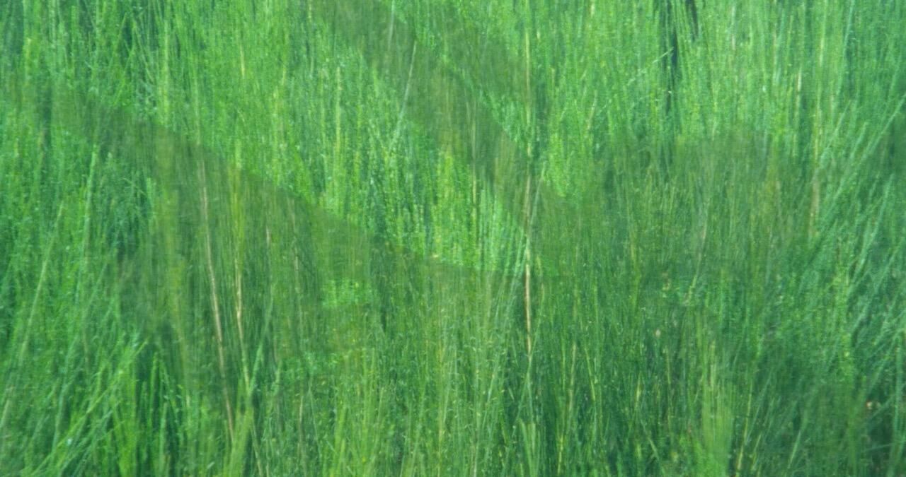 Gallery image of the project Rough & Smooth