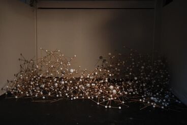 Gallery image of the project The rare circumstances of an inertia that distances what i do from what i could have done