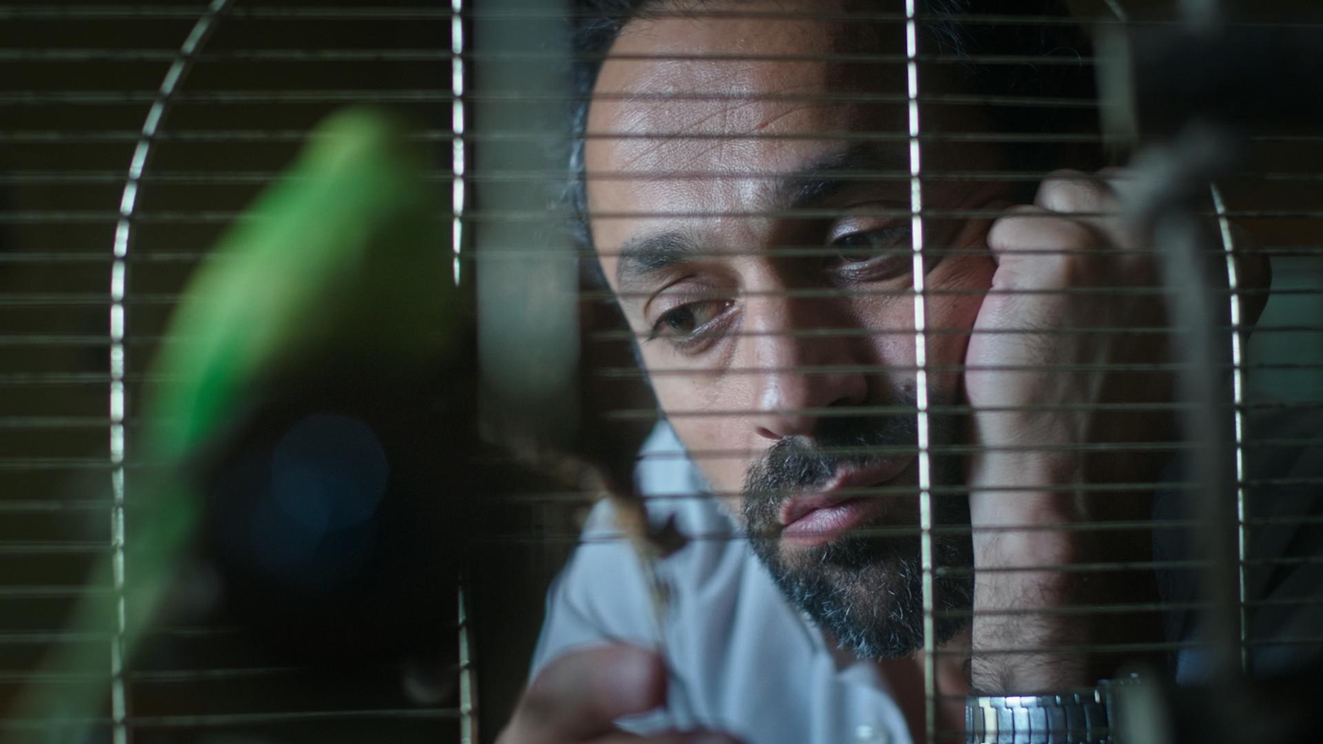 Gallery image of the project BITTER