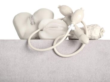 Nature Morte Gallery image of the project Nature Morte